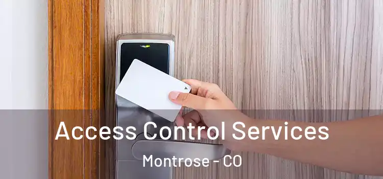  Access Control Services Montrose - CO
