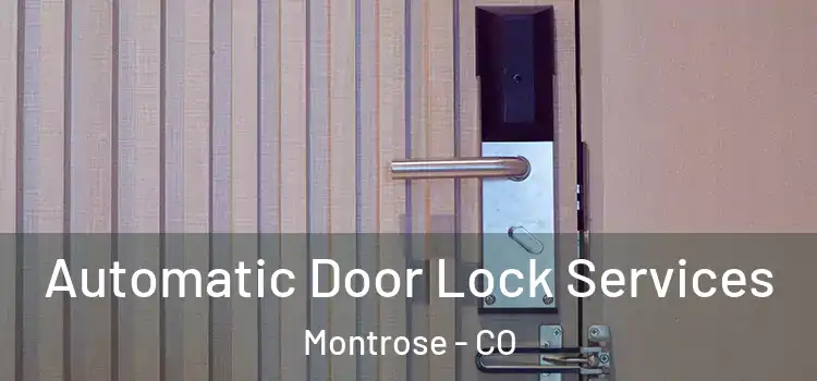 Automatic Door Lock Services Montrose - CO