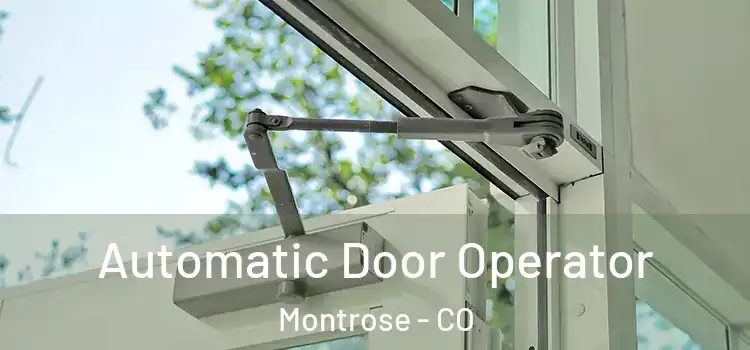  Automatic Door Operator Montrose - CO