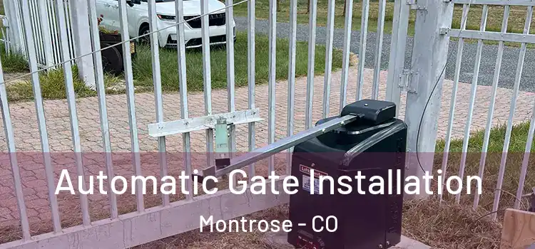 Automatic Gate Installation Montrose - CO