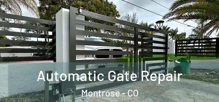 Automatic Gate Repair Montrose - CO