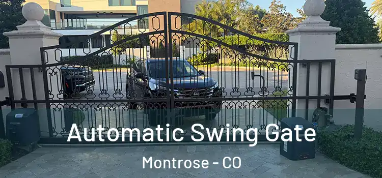  Automatic Swing Gate Montrose - CO