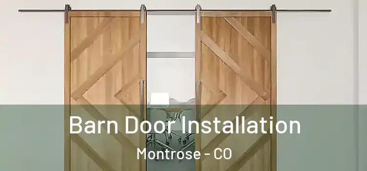  Barn Door Installation Montrose - CO