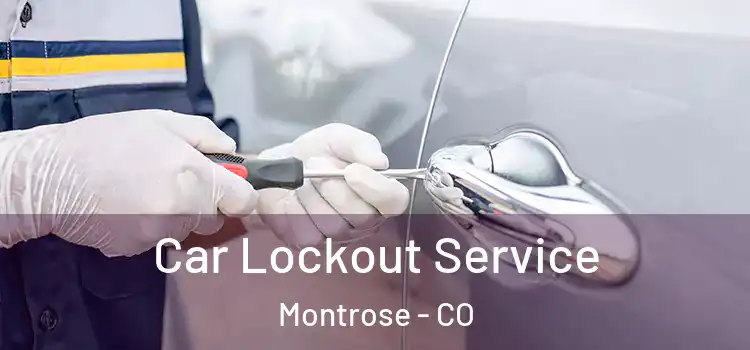  Car Lockout Service Montrose - CO