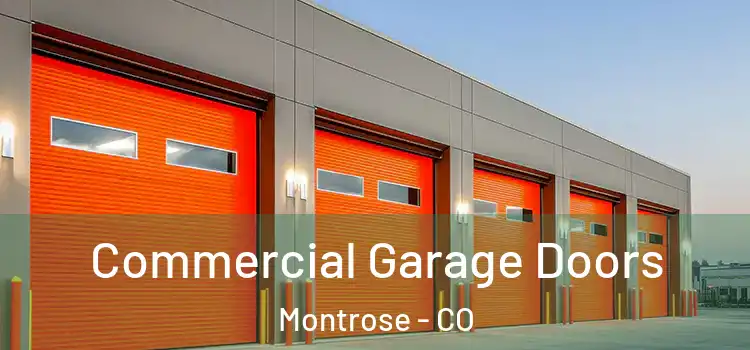  Commercial Garage Doors Montrose - CO