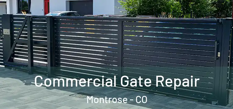  Commercial Gate Repair Montrose - CO