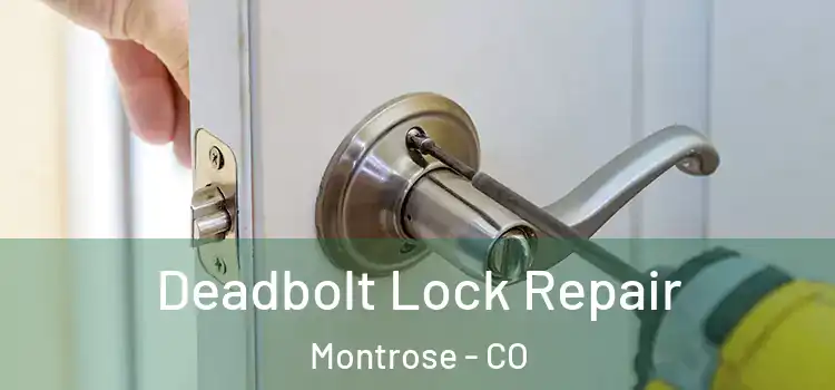  Deadbolt Lock Repair Montrose - CO