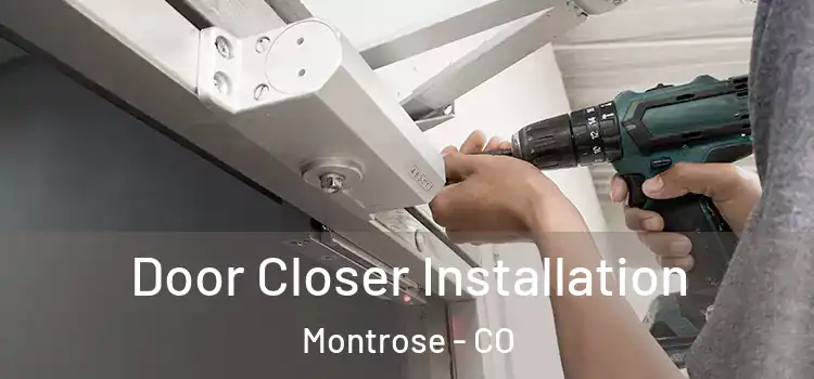  Door Closer Installation Montrose - CO