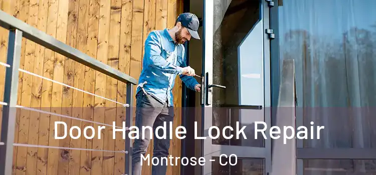  Door Handle Lock Repair Montrose - CO