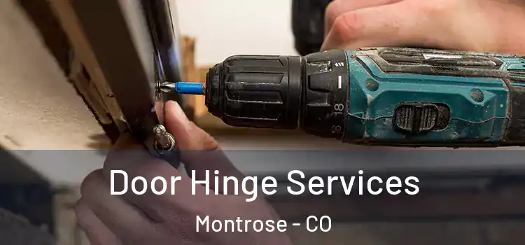  Door Hinge Services Montrose - CO