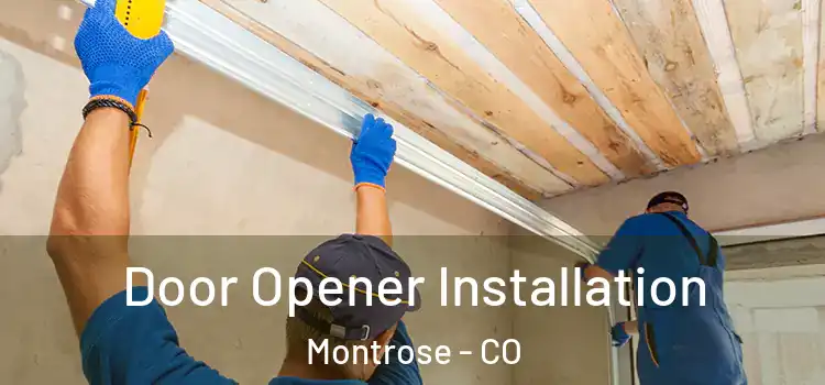  Door Opener Installation Montrose - CO