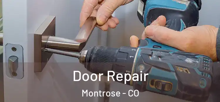  Door Repair Montrose - CO