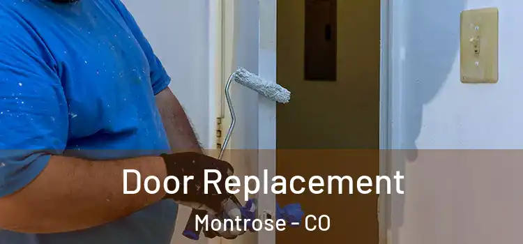  Door Replacement Montrose - CO