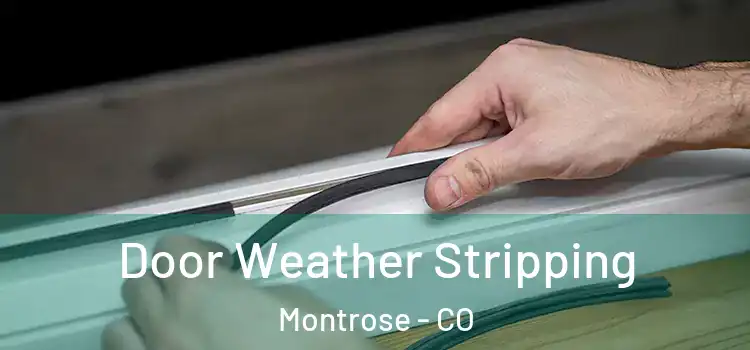  Door Weather Stripping Montrose - CO