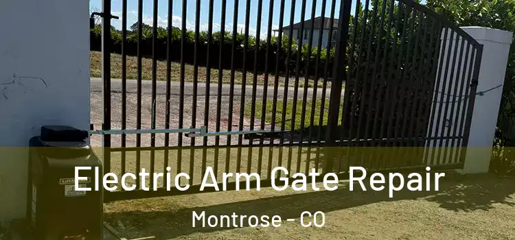  Electric Arm Gate Repair Montrose - CO