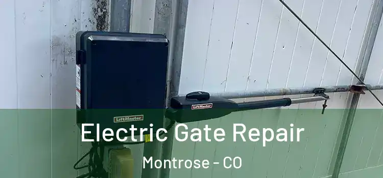  Electric Gate Repair Montrose - CO