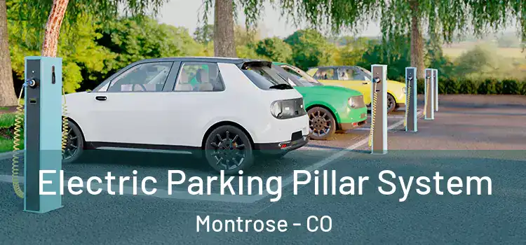  Electric Parking Pillar System Montrose - CO