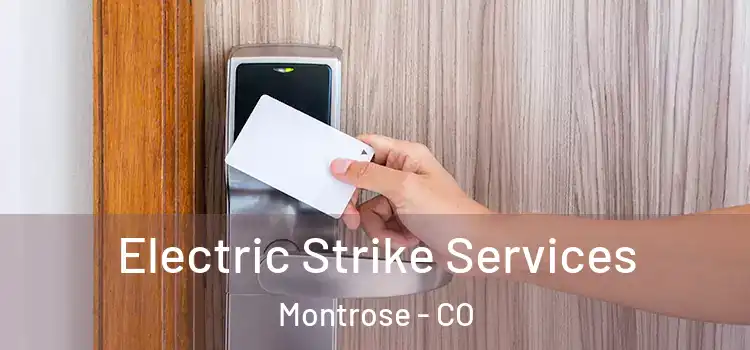  Electric Strike Services Montrose - CO