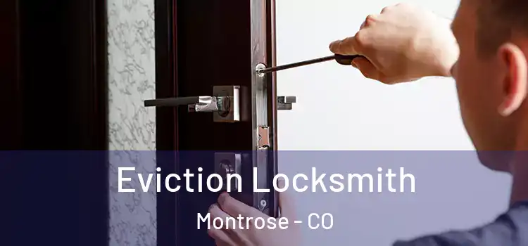  Eviction Locksmith Montrose - CO