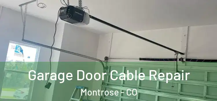  Garage Door Cable Repair Montrose - CO