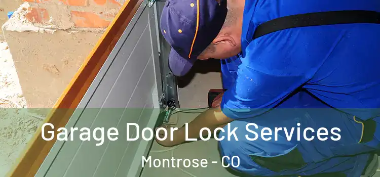  Garage Door Lock Services Montrose - CO