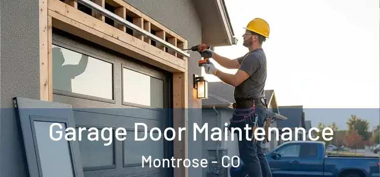  Garage Door Maintenance Montrose - CO