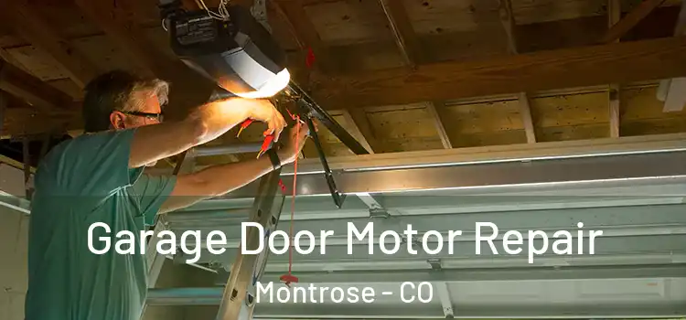  Garage Door Motor Repair Montrose - CO