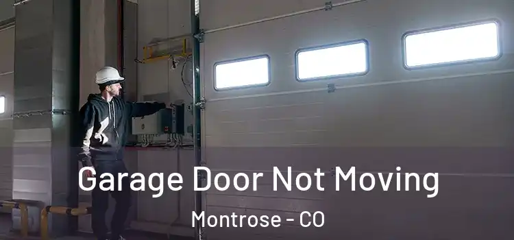  Garage Door Not Moving Montrose - CO