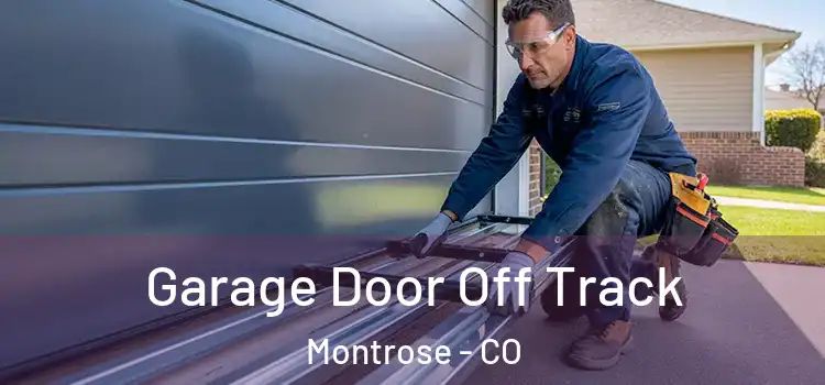  Garage Door Off Track Montrose - CO