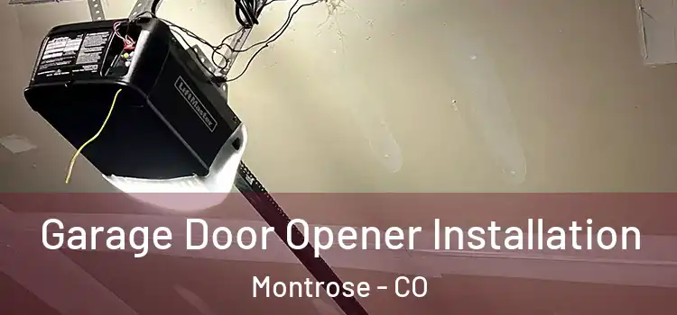  Garage Door Opener Installation Montrose - CO