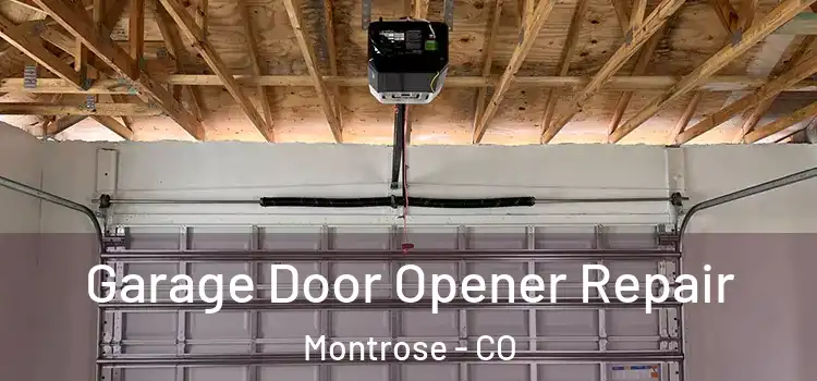  Garage Door Opener Repair Montrose - CO
