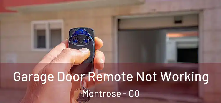  Garage Door Remote Not Working Montrose - CO