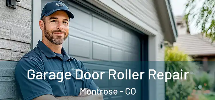  Garage Door Roller Repair Montrose - CO