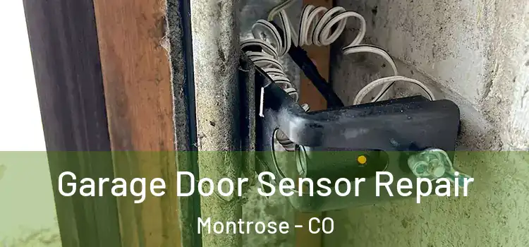  Garage Door Sensor Repair Montrose - CO