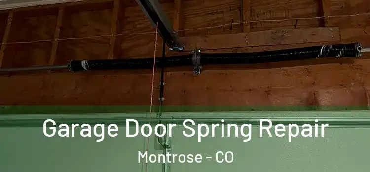  Garage Door Spring Repair Montrose - CO