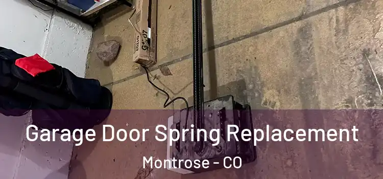  Garage Door Spring Replacement Montrose - CO