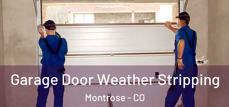 Garage Door Weather Stripping Montrose - CO