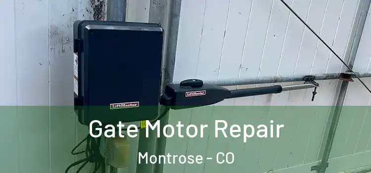  Gate Motor Repair Montrose - CO