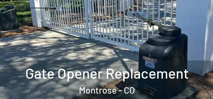  Gate Opener Replacement Montrose - CO