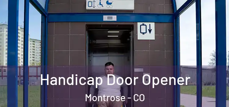  Handicap Door Opener Montrose - CO