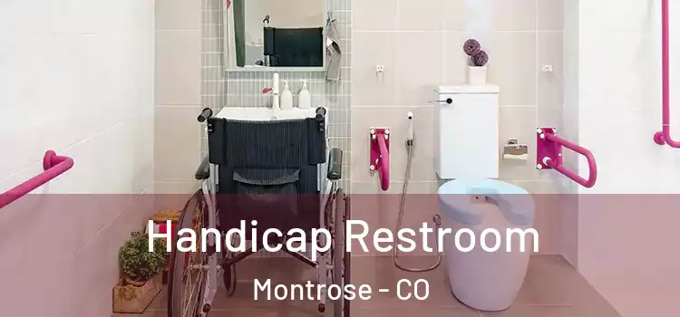  Handicap Restroom Montrose - CO