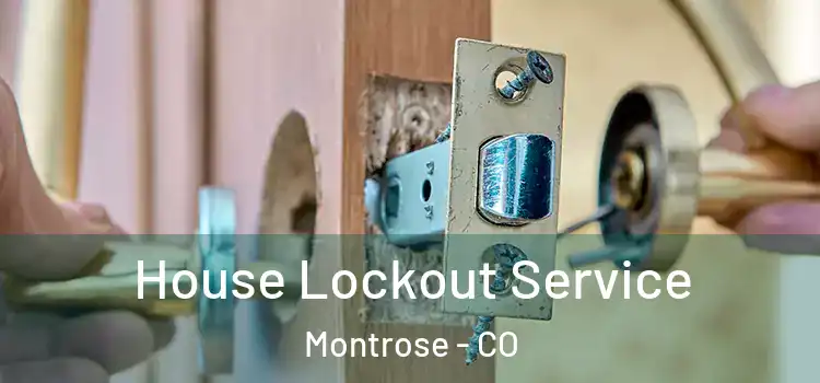  House Lockout Service Montrose - CO