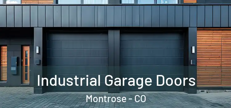  Industrial Garage Doors Montrose - CO