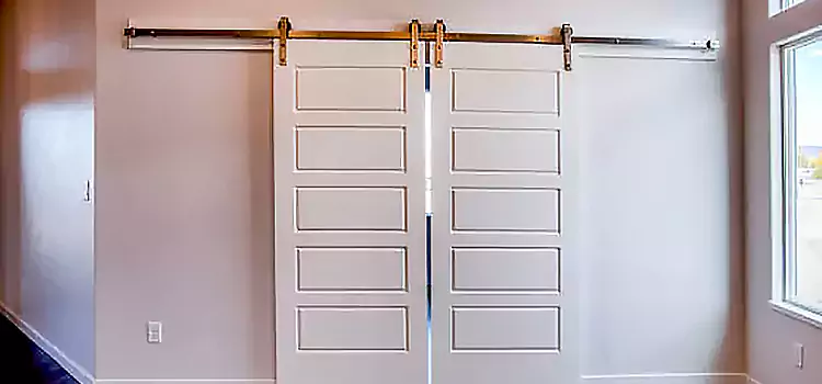 Glass Barn Door with Installation Hardware Kit Montrose