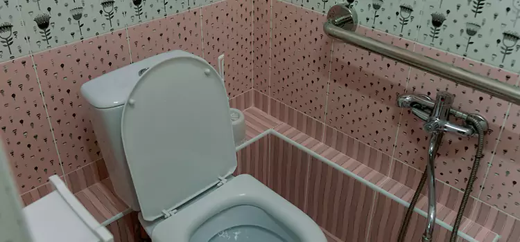 Meeting Diverse Needs With Accessible Restroom Solutions in Montrose, CO