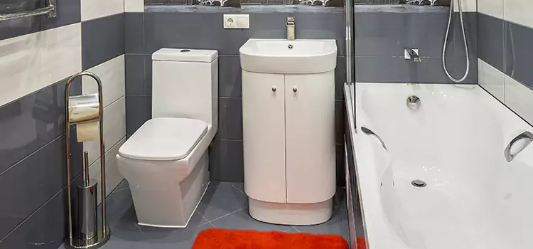 Hansgrohe Shaving Mirror Montrose