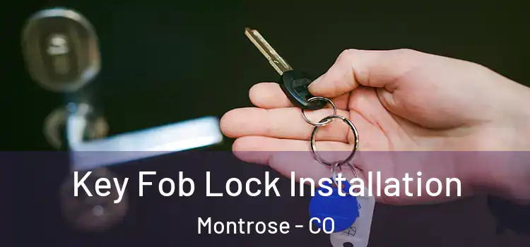  Key Fob Lock Installation Montrose - CO
