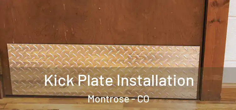  Kick Plate Installation Montrose - CO