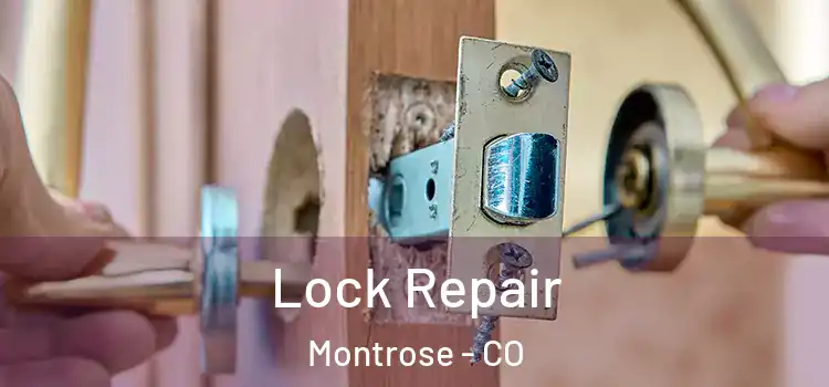  Lock Repair Montrose - CO