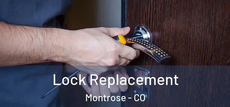 Lock Replacement Montrose - CO